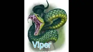 viper chill Music 🎵🎵