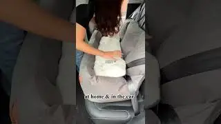 Travel Bolster Safety Medium Large Dog Car Back Seat Bed #1