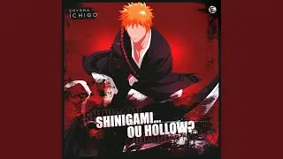 Shinigami... Ou Hollow (Ichigo)
