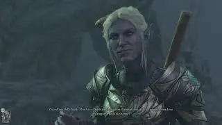 Baldur's Gate 3 Polymorph Minthara & save tieflings + Halsin Karlach Wyll NO MODS #bg3 #ps5 #gaming