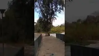 heavy rain in Israel!!(2)