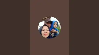 bebek