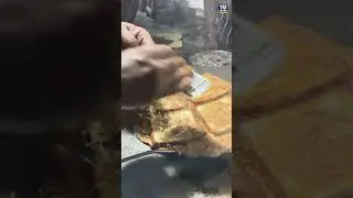 Desi style cheesy bread omelet #short #shorts #streetfood