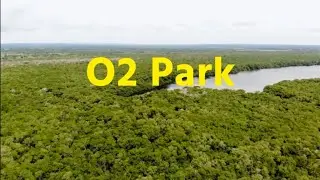 Mangrove Plant tissue culture and seed based plants मैंगरूव के पौधे - सुंदरबन, O2 Park, Oxygen Park