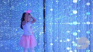 Living in a digital forest: Japanese immersive art debuts in China