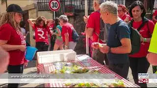 10/04/25 - Tornano 