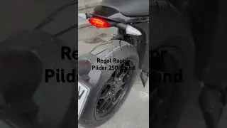 Regal Raptor l Pilder 250 Sound #regalraptor #pilder250 #leonart #keşfet