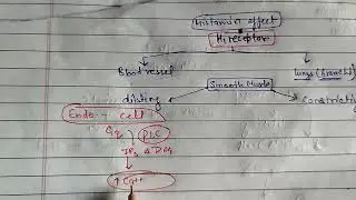 Why Histamine Dilates Blood Vessels but Constricts Bronchi | H₁ Receptor concept Explained #gpat