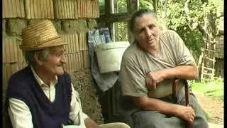 magosan repül daru
