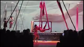Rocky Horror Circus Show: Toucha Tank