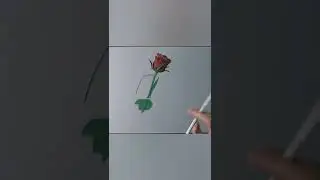 Rose in a glass, realistic drawing and painting- check comments for full video