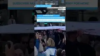 Dutch woman throws red paint on Israel