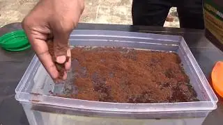 SpillNill - Oil Absorption from Water