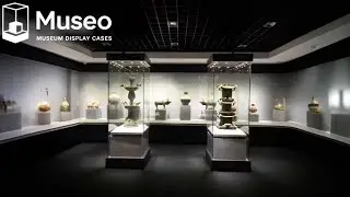 A museum display with independent and recessed cabinets in a dark gallery setting