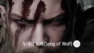 LostArk band ver(늑대의노래,프렐류드,빙하섬의눈물, 별모래해변,별빛등대의섬)