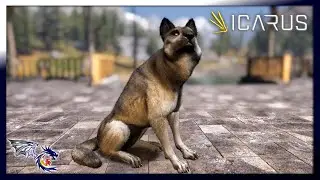 Our First Wolf Tame! | Icarus #44