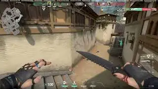 OP = Godteir