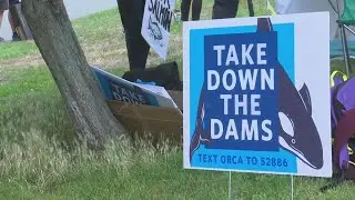Conservation groups call for removal of lower Snake River Dams to save salmon, orca