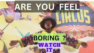 Amazing Circus |