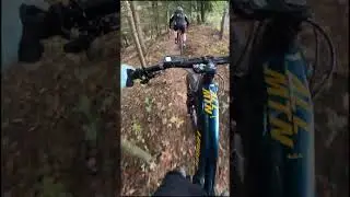 1 old git on an ebike, 4 younguns on std bikes.