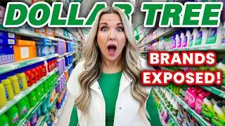 35 HIDDEN Dollar Tree Knockoffs Brands Don&rsquo;t Want You to Find!