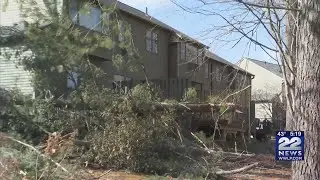 Trees, power line damage reported across western Massachusetts