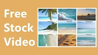 Beach Stock Video | 2020