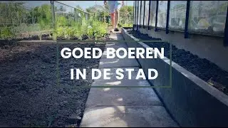 De moestuin eind mei | Goed boeren in de stad vlog (S03E04)