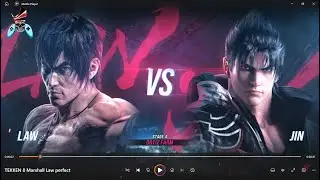 TEKKEN 8 Marshall Law perfect