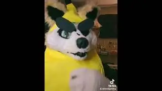 Nobody...literally Nobody....My brain for no reason at all.