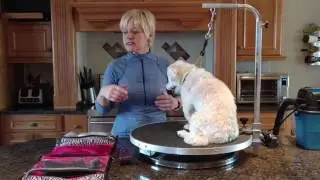 House Call/In Home Grooming