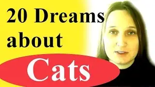 Dream about cats &mdash; meaning of 20 plots (if they attack, bite, fight, die, black and white and so on)