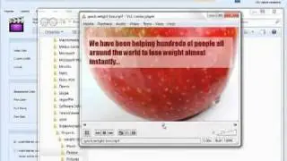 Warrior Special Offer - VideoNicheDominator.com