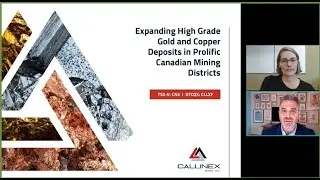 Max Porterfield of Callinex Mines Inc.