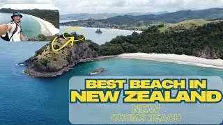 New Chums Beach &ndash; The Best Beach in New Zealand? (Way Better Than Back Home!)