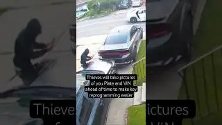 Thieves Testing Out Stealing a Dodge Charger Scat Pack SRT Hellcat Redeye - License Plate & VIN