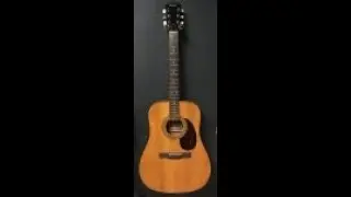 Vintage Hofner acoustic guitar