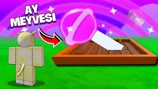 AY IŞIĞI MEYVELERİ BÜYÜTTÜM! | Roblox Grow a Garden