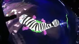 Falling Down, Music Video. Filmed at Mori Digital Art Building, TeamLabs Borderless, Odaiba, Tokyo.