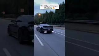 Ford Mustang Fire Exhaust 🔥
