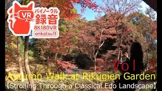 🍁 [Autumn Walk at Rikugien Garden — Strolling Through a Classical Edo Landscape] Chapter Three‼