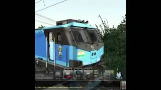 WAG 12