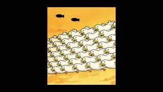 trying #protection #war #bomb #civilians #ducks #womenandchildren #safety #love #sacrifice #peace