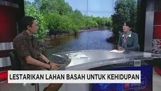 Insight With Desi Anwar - Lestarikan Lahan Basah untuk Kehidupan