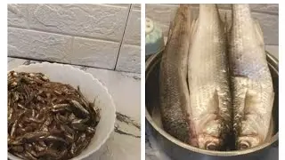 مش هتشتري من برة تانى هخليكى تخللى احلى فسيخ وبساريا ولا احلى من كده 🫰👌