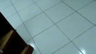 MOV01155