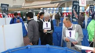 Nogyosai 2015 Part 1 of 2