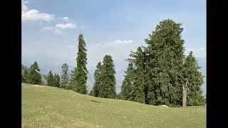 Historic Munroe Trail - Trekking from Kund Bangla to Nadi Bangla
