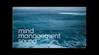 Gentle Ocean Waves Crashing on Beach | Pure Relaxing Wave Sounds for Deep Sleep (8 Hours)
