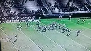 JSUGamecocks 1999